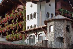 Dolomia