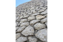 Dolomia