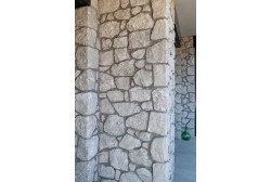Dolomia