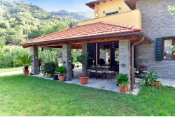 Scaglia Grey
