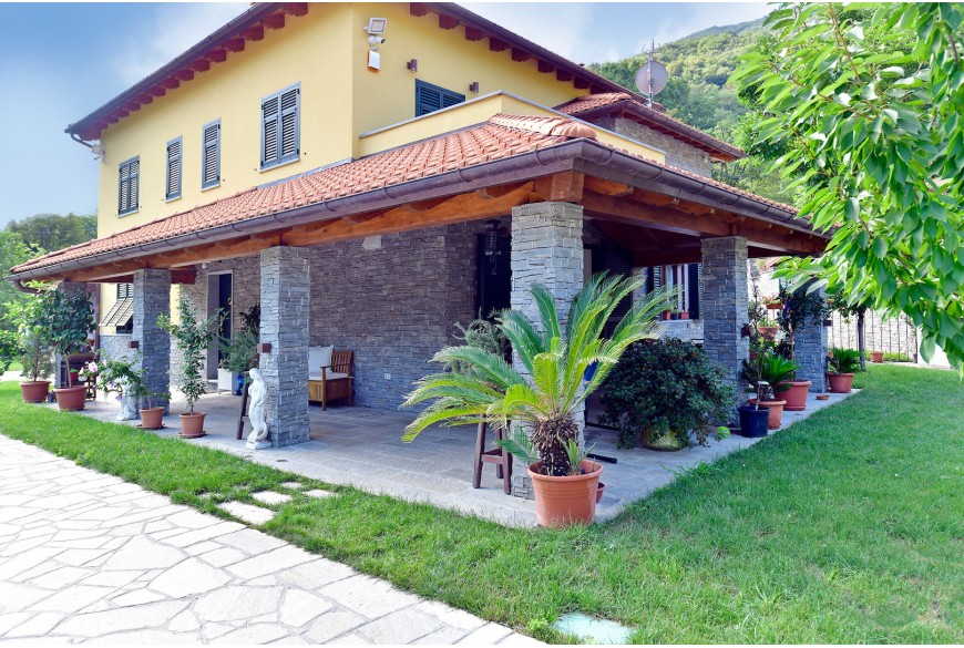 Scaglia Grey
