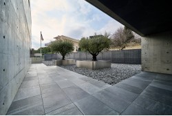 Filite
