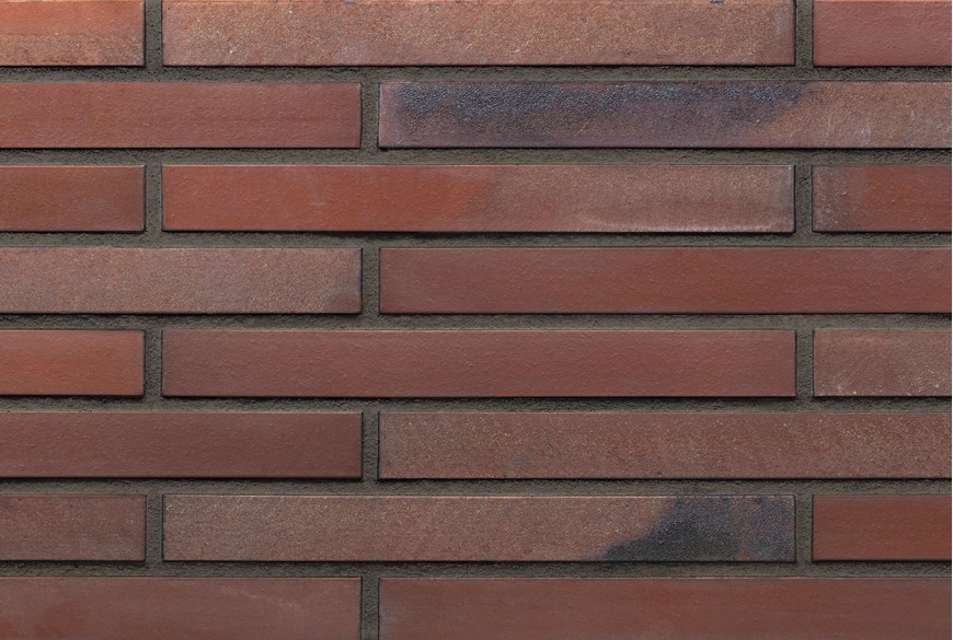 Futura 505